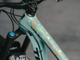 DYEDBRO MTB Rahmenschutzfolien-Set