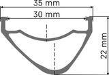 DT Swiss EX 1700 Spline 30 Disc 6-Bolt 29" Wheel