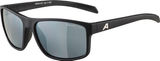 Alpina Lunettes de Sport Nacan I