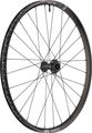 DT Swiss EX 1700 Spline 30 Disc 6-Bolt 29" Wheel