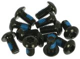Hayes Tornillos Torx T25