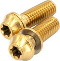 77designz Boulon de fixation de frein Ti M6x18 T25