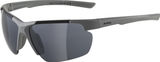 Alpina Defey HR Sports Glasses