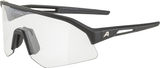 Alpina Gafas Deportivas Sonic HR V