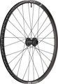 DT Swiss Roue EX 1700 Spline 30 Disc 6-trous 29"