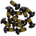 Magura Brake Rotor Bolts