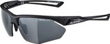 Alpina Nylos HR Sports Glasses