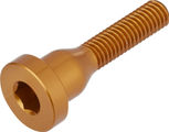 Burgtec Bolt for Top Cap