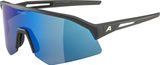 Alpina Gafas Deportivas Sonic HR Q-Lite