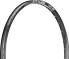 DT Swiss M 502 Disc 29" Felge