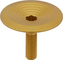 absoluteBLACK Premium Integrated Top Cap Ahead Kappe