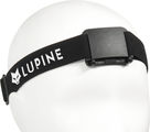 Lupine Bandeau Penta