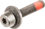 Magura Bolt for Easy Mount Adapters