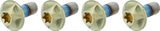 SILCA Titanium Bottle Cage Bolts Torx
