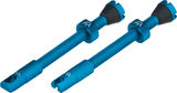 Peaty's Chris King Edition MK2 Tubeless Ventil 2er-Set