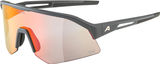 Alpina Gafas Deportivas Sonic HR QV