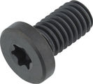77designz Ti Bolt Titanschraube