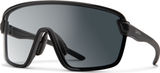 Smith Bobcat Sports Glasses