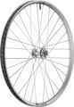 DT Swiss FR 1500 CLASSIC SILVER DEG DF LTD 30 Boost Disc 6-Loch 29" Laufrad