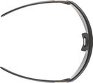 Alpina Turbo Pro S QV Sports Glasses