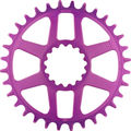 e*thirteen Helix R Guidering Direct Mount Kettenblatt