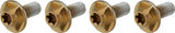 SILCA Titanium Bottle Cage Bolts Torx