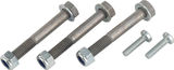Bosch Schrauben-Kit Drive Unit (BDU2XX, BDU3XX, BDU33YY)