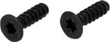 Racktime Screws for Shine Evo light