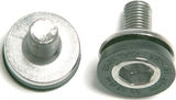 Truvativ Kurbelschraube M8