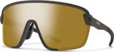 Smith Bobcat Sports Glasses