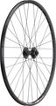 bc basic Roue Mountain/Urban Alivio Disc 6L DT Swiss 466D 29"