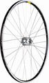 SON Delux + Open Pro + Sapim Race 28" Wheel - Closeout