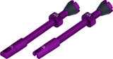 Peaty's Chris King Edition MK2 Tubeless Ventil 2er-Set