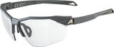 Alpina Lunettes de Sport Twist Six HR V
