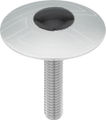 Cinelli Top Cap Ahead Kappe