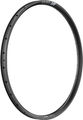 DT Swiss Felge XMC 320 29" Carbon 28 Loch