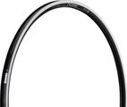 DT Swiss R 460 28" Rim