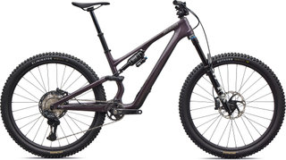Stumpjumper 15 EVO Expert Di2 mountain bike