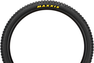 Minion DHR II WT DD TR MaxxTerra 29" Faltreifen