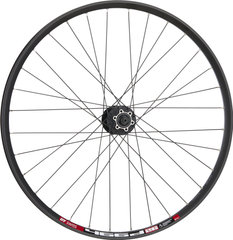 Mountain Alivio Disc 6-bolt - DT Swiss 466D 26" wheel