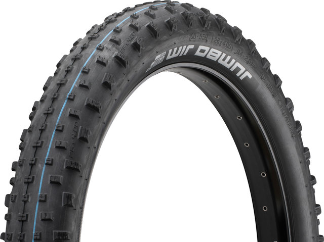 Schwalbe Pneu pliable Fatbike Jumbo Jim Evolution ADDIX SpeedGrip SuperGround 2 - noir/26 /100 /4 