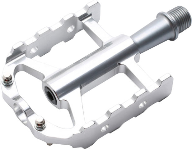 HT CHEETAH-S ARS03 Cage Pedals - silver