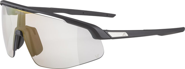 Alpina Turbo Pro V Sports Glasses - black matte | vario red