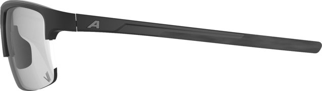Alpina Eagle V Sports Glasses - black matte | varioflex black