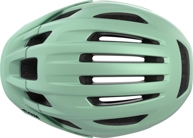 Alpina Paranus Helmet - pastel green matt | 52 - 56 cm