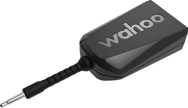 Wahoo KICKR Dircon Kabel - black