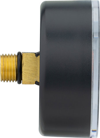 SKS Pressure Gauge for Airworx Plus 10.0 - universal