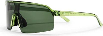 CHPO Nestor Brille - forest green | green