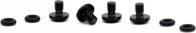 OAK Components Juego de tornillos de titanio para SRAM Bleedport Mineral Oil - black-titanium