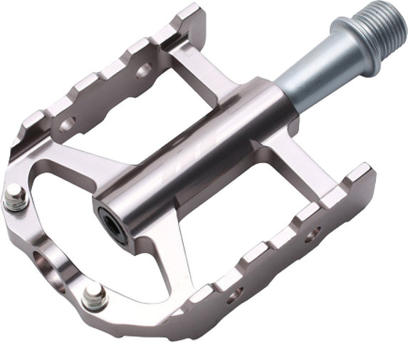 HT CHEETAH-S ARS03 Cage Pedals - grey